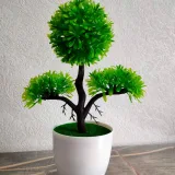 Jade Bonsai