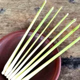 Lemongrass