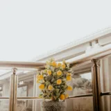 Nimboo, Lemon Tree