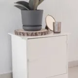 Rubber Plant (Burgundy)